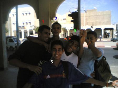 MAFIA CHAWKI